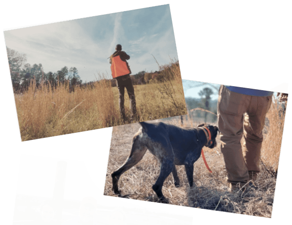 Anderson Creek Hunting Preserve logo