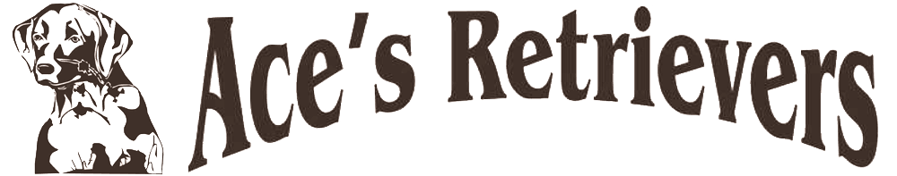 Ace's Retrievers logo