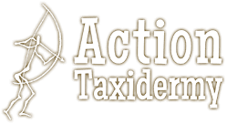 Action Taxidermy & Game Processing logo