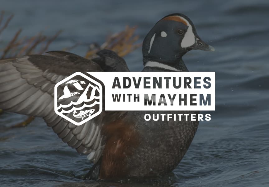 Adventures with Mayhem Outfitters logo