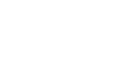 AEA Gun logo