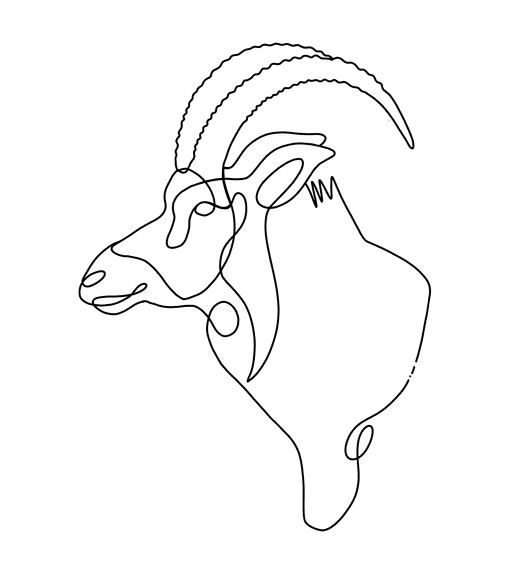 African Bowhunting Adventures logo