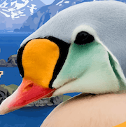 Aleutian Island Waterfowlers logo