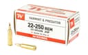 Winchester 45gr JHP 3