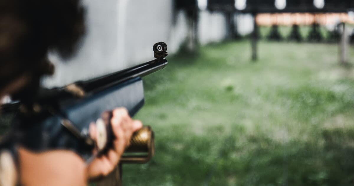 Anthony Arms & Accessories logo