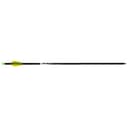 Wicked Ridge Lighted Alpha Brite Arrows Aluminum 20 in. 3 pk. 1