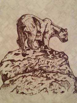 Artistic Taxidermy Studio logo