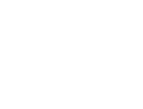 BearTrack Outfitters logo