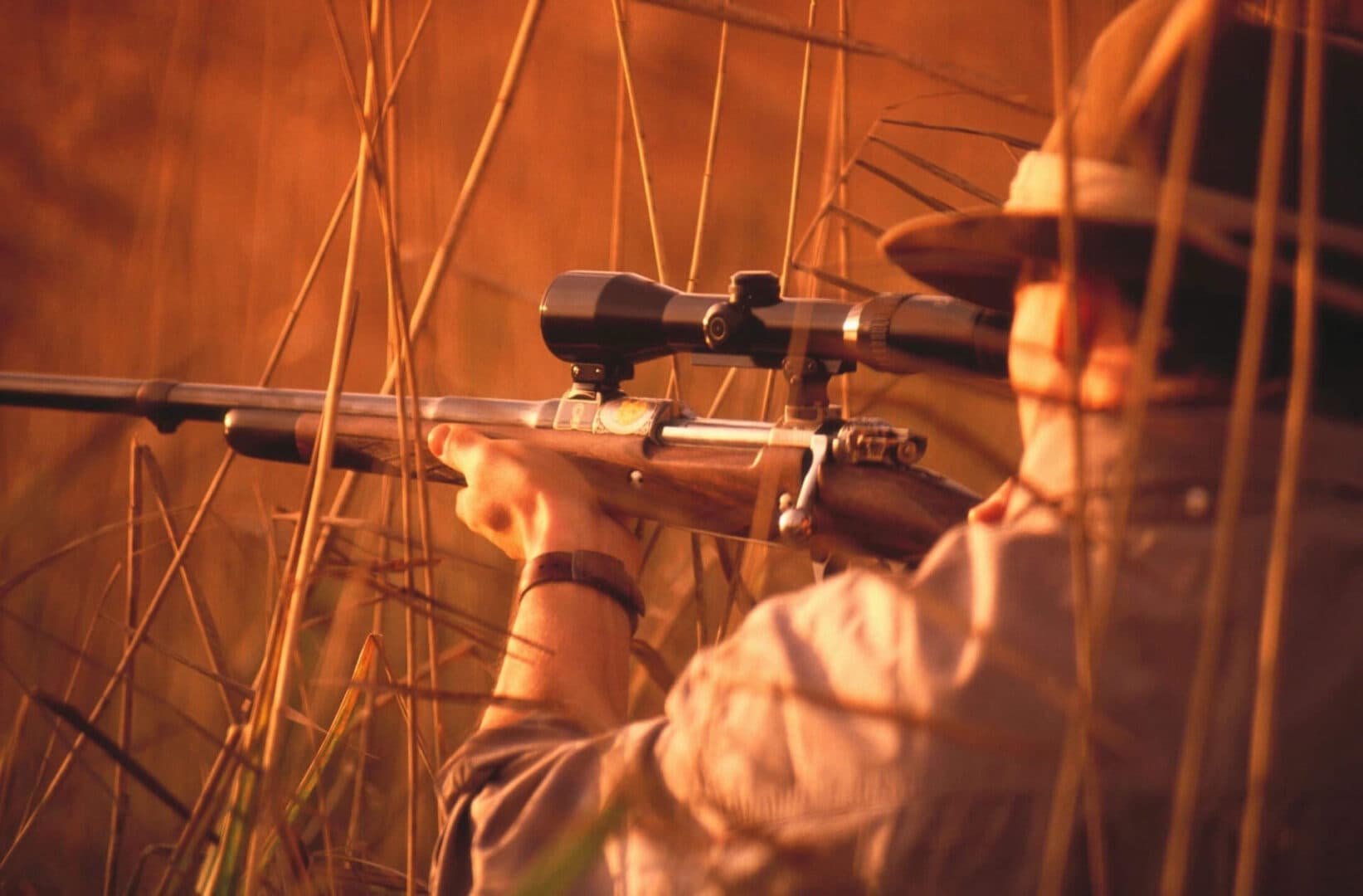 Big Dog Outfitters logo