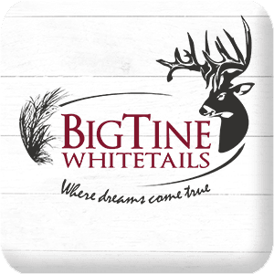 Big Tine Whitetail logo