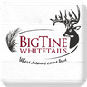 Big Tine Whitetail