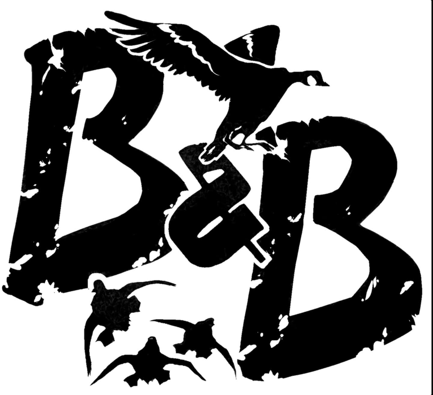 Birds & Bucks Outdoors logo