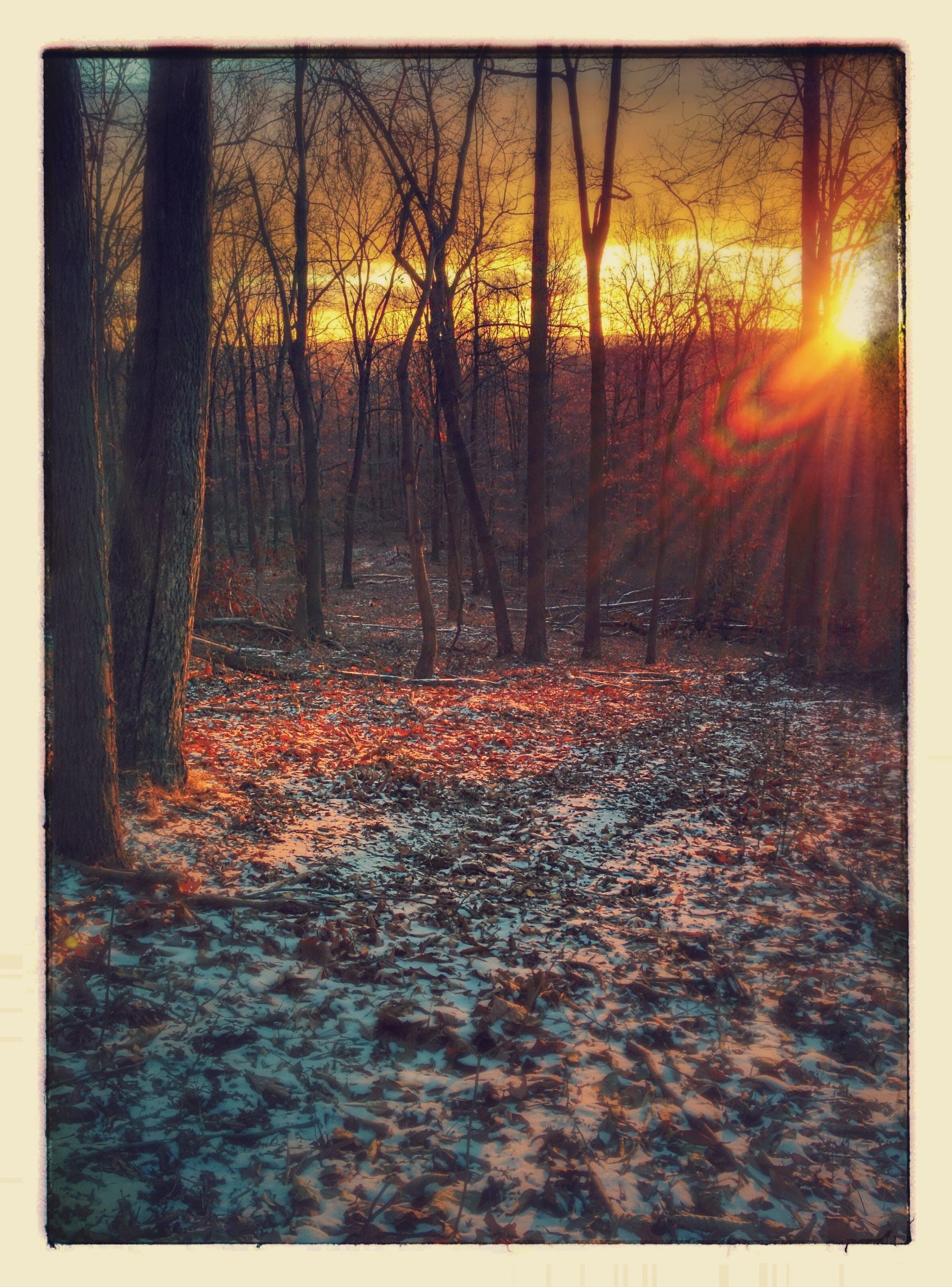 Blair County Game, Fish and Forestry Association logo