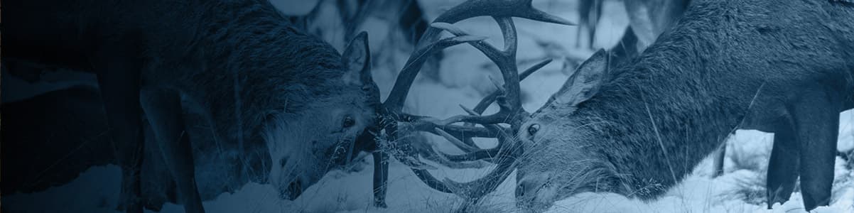 Bridgecreek Trophy Hunts logo