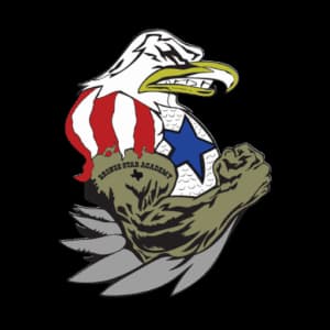 Bronze Star Academy logo