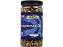 Federal 17gr 4