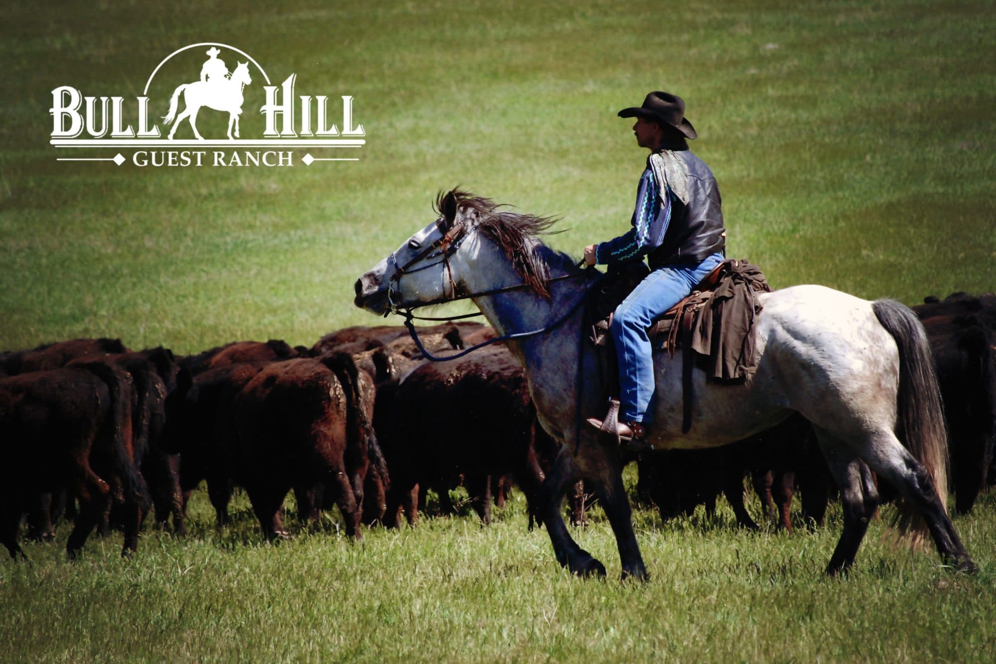 Bull Hill Guest Ranch logo