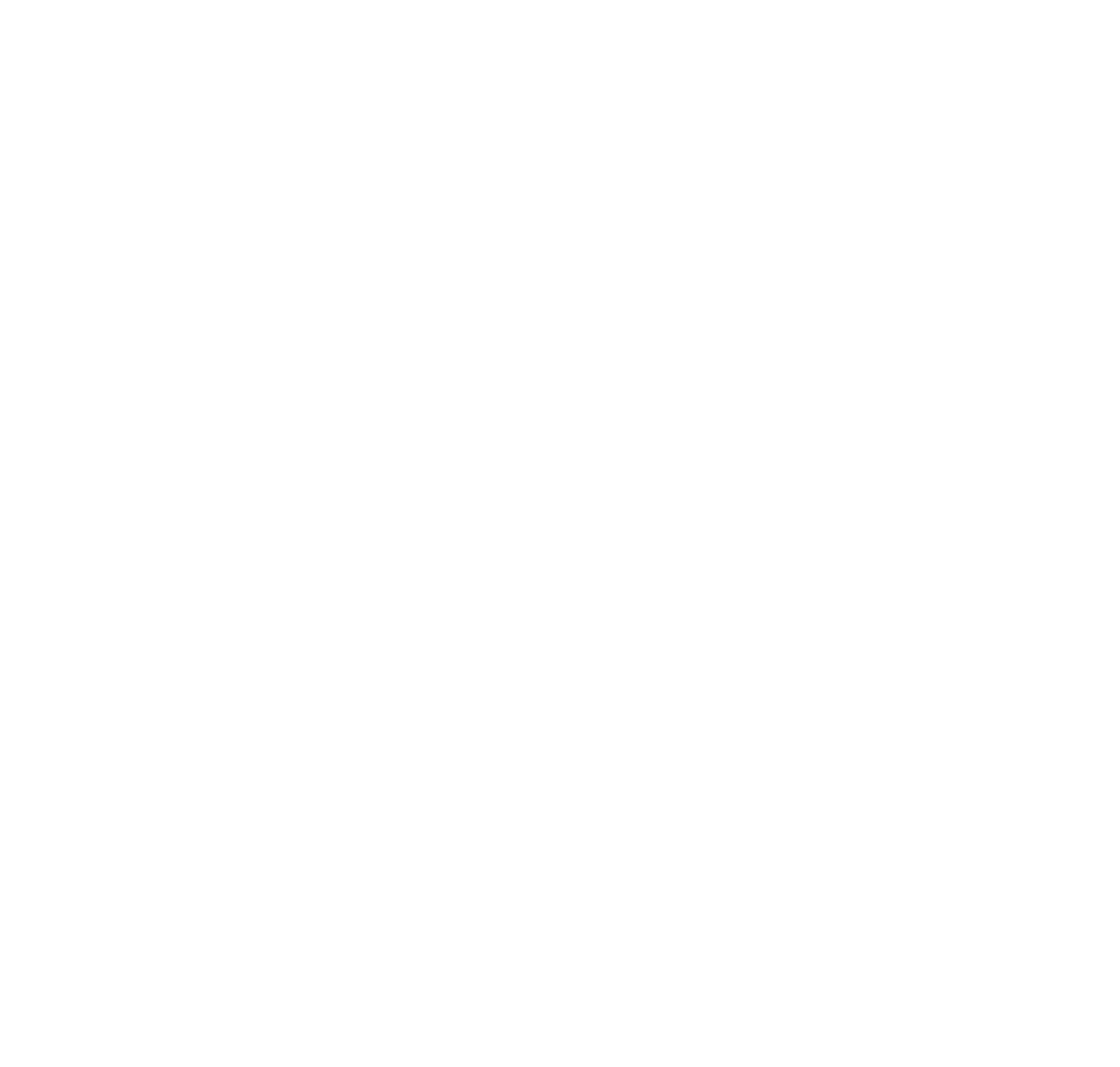 Pdscustoms logo