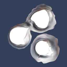 CDS Comprehensive Defensive Systems logo