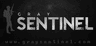 Gray Sentinel