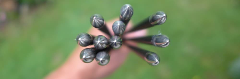 Charlesarcheryblog Wordpress logo