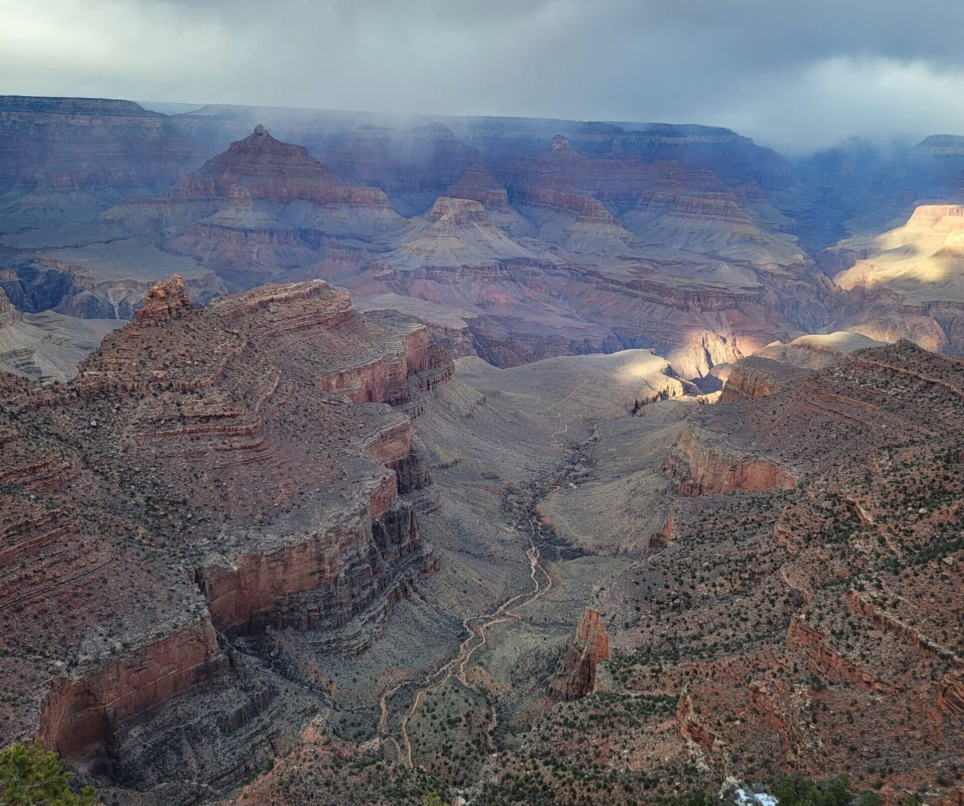 Checkmate Hunting & Fishing Guide Service logo