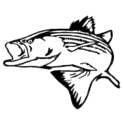 Chesapeake Outdoors logo