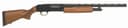 Mossberg 505 ALL-PURPOSE FIELD 20 GAUGE 2