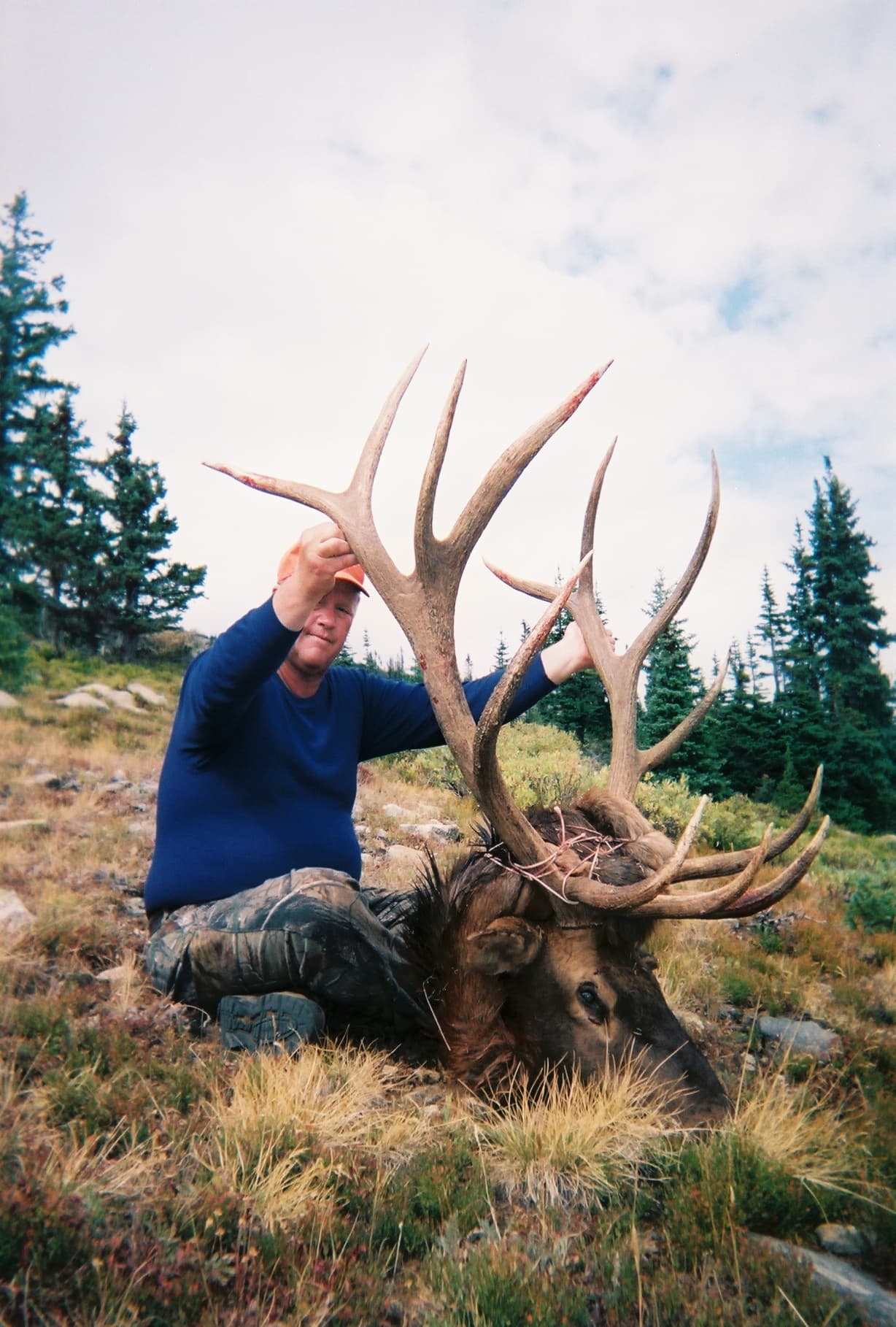 Wilderness Guided Elk logo