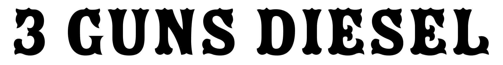 3 Guns Diesel is a Mechanic in Carlsbad, NM logo