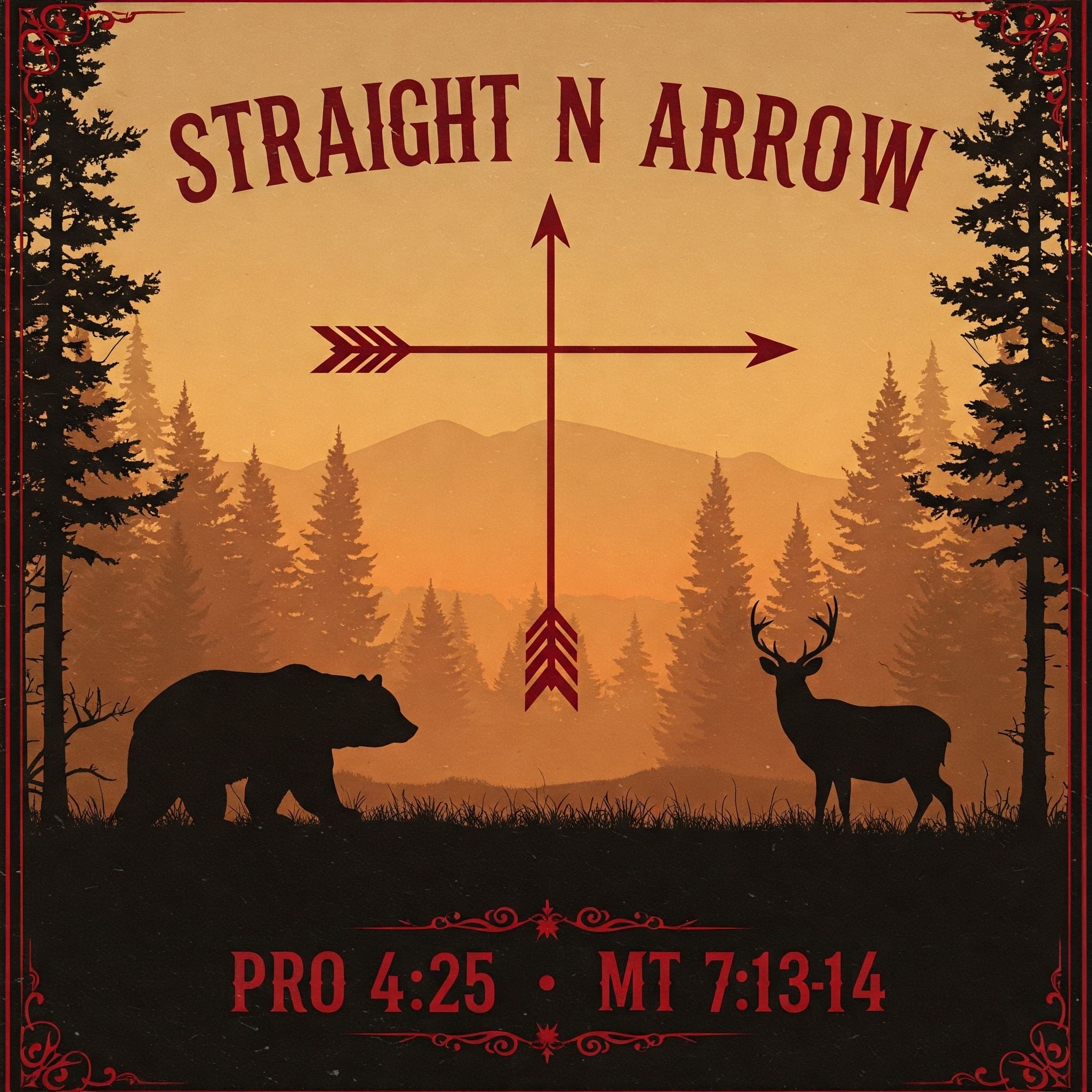 Straight N Arrow 3D Archery logo