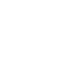 American Guns & Ammo logo