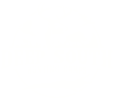 Deep South Hunting Camps logo