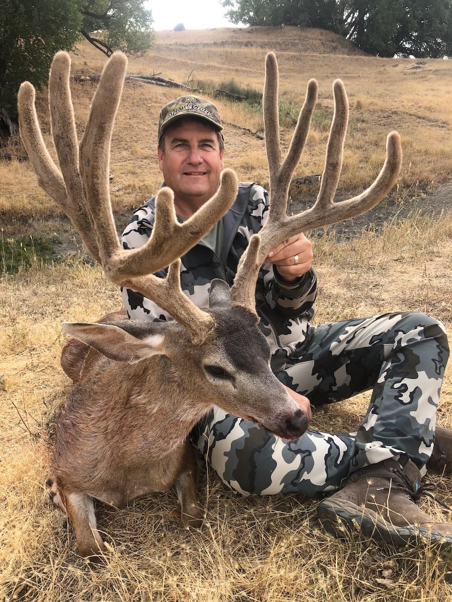 Diamond C Outfitters logo