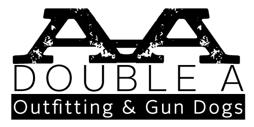Double A Outfitting & Gun Dogs logo