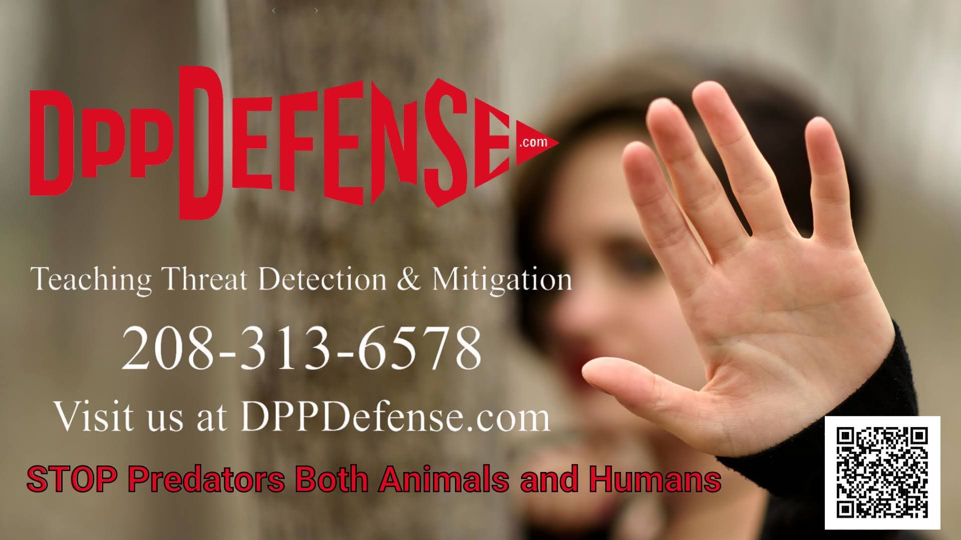 DPPDefense logo