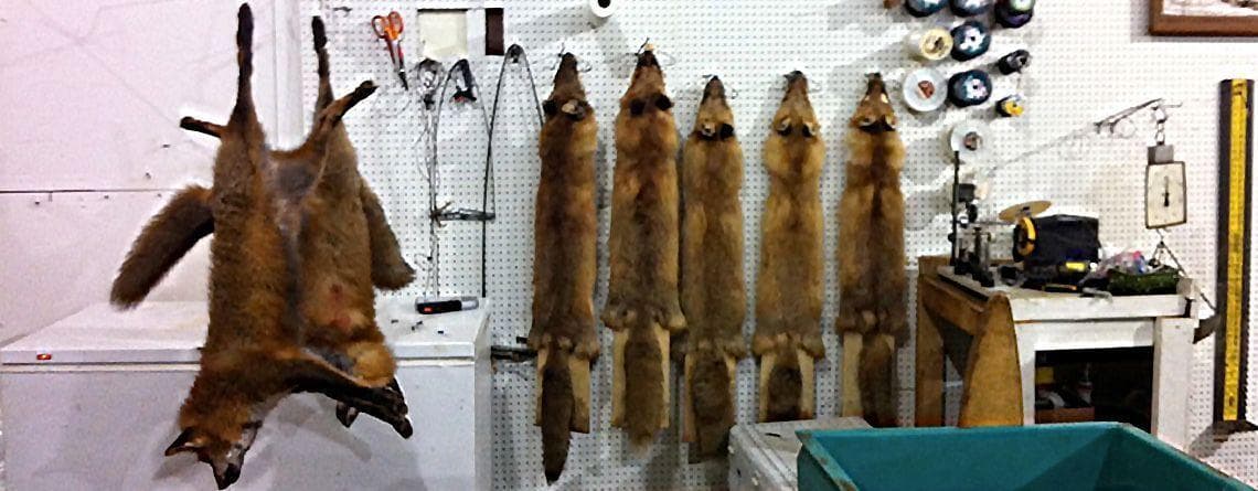 Delaware State Sportsmen's Association logo