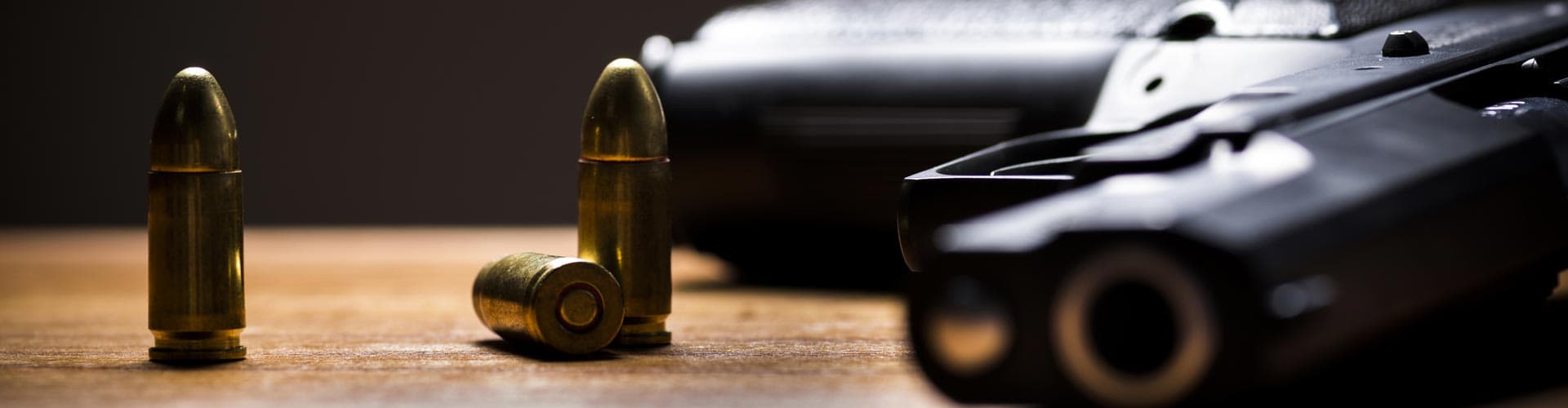 Eagles Nest Armory Colorado Gun Sales & Consignment logo