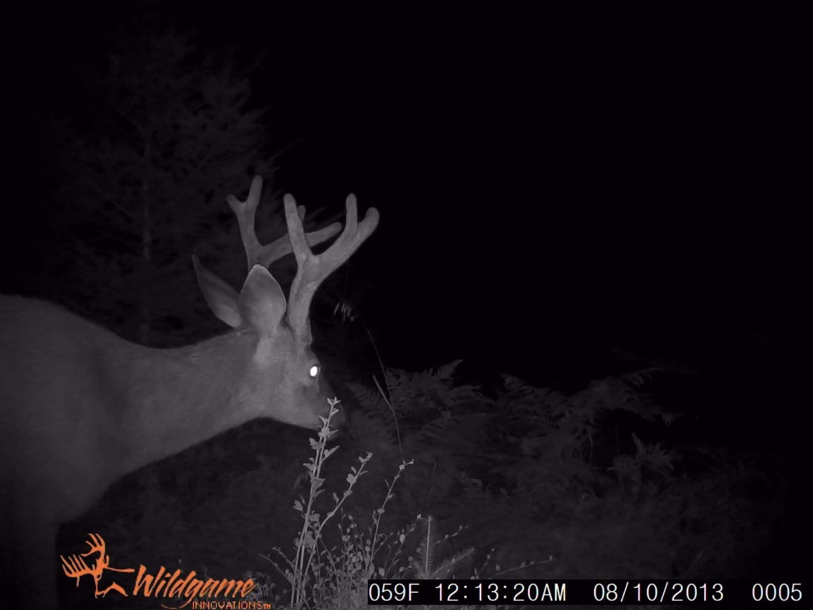 PNW Guide Service logo