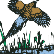 Etowah Valley Sporting Clays Park logo