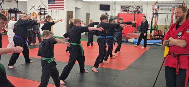 Boise Studio of Self Defense logo