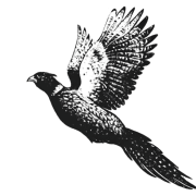 Flying Feathers logo