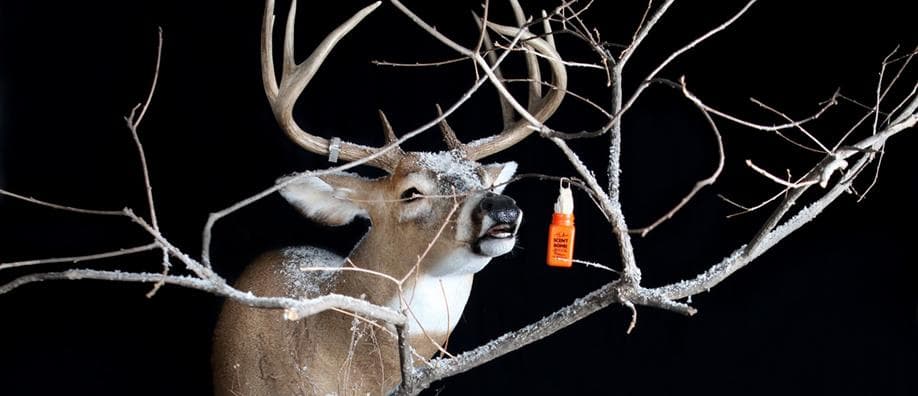 Fricke's Taxidermy logo