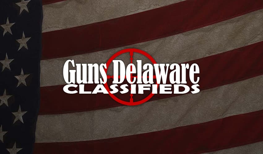 Guns Delaware logo