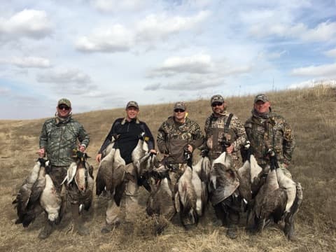 Waterfowl Hunting logo