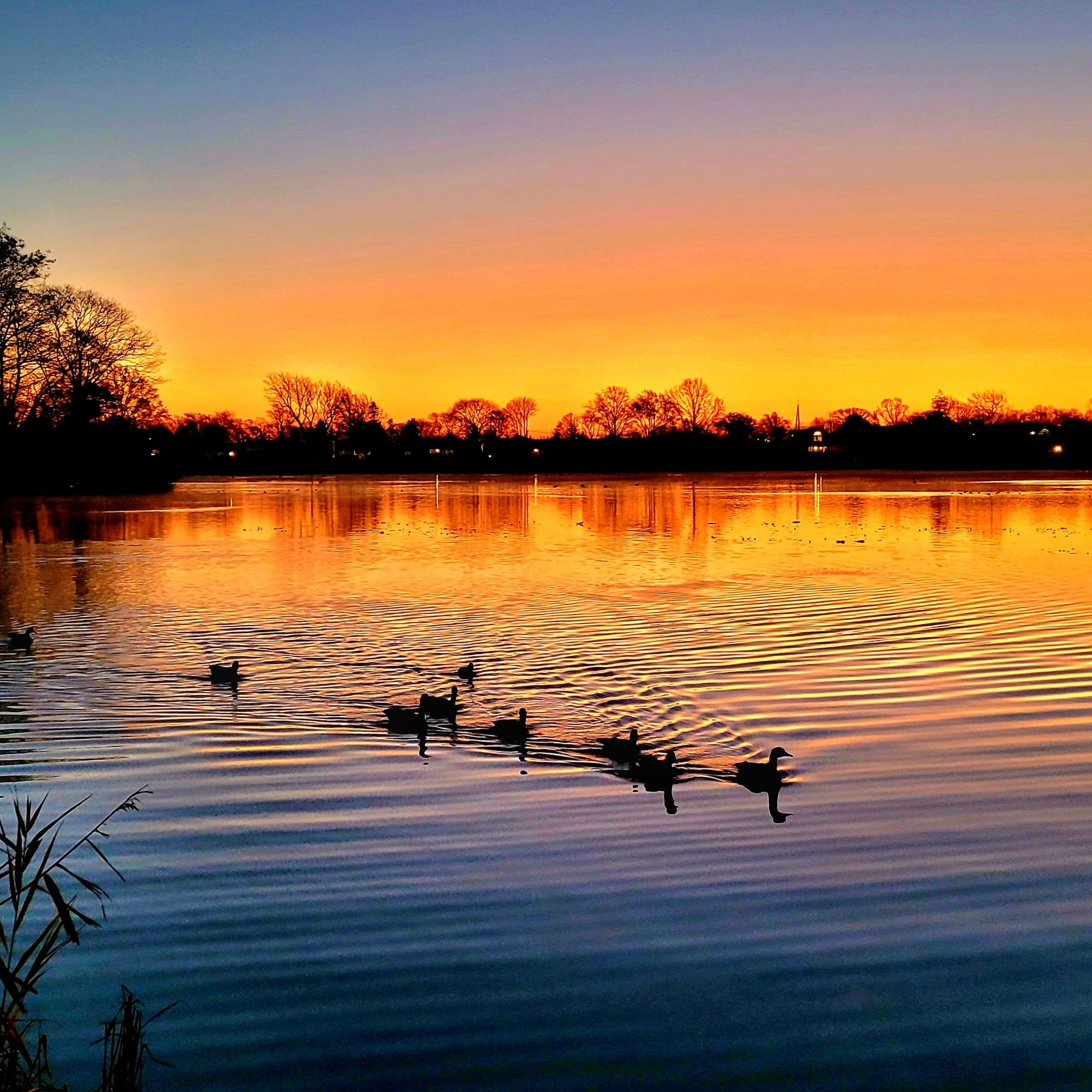 Tar River Waterfowl logo
