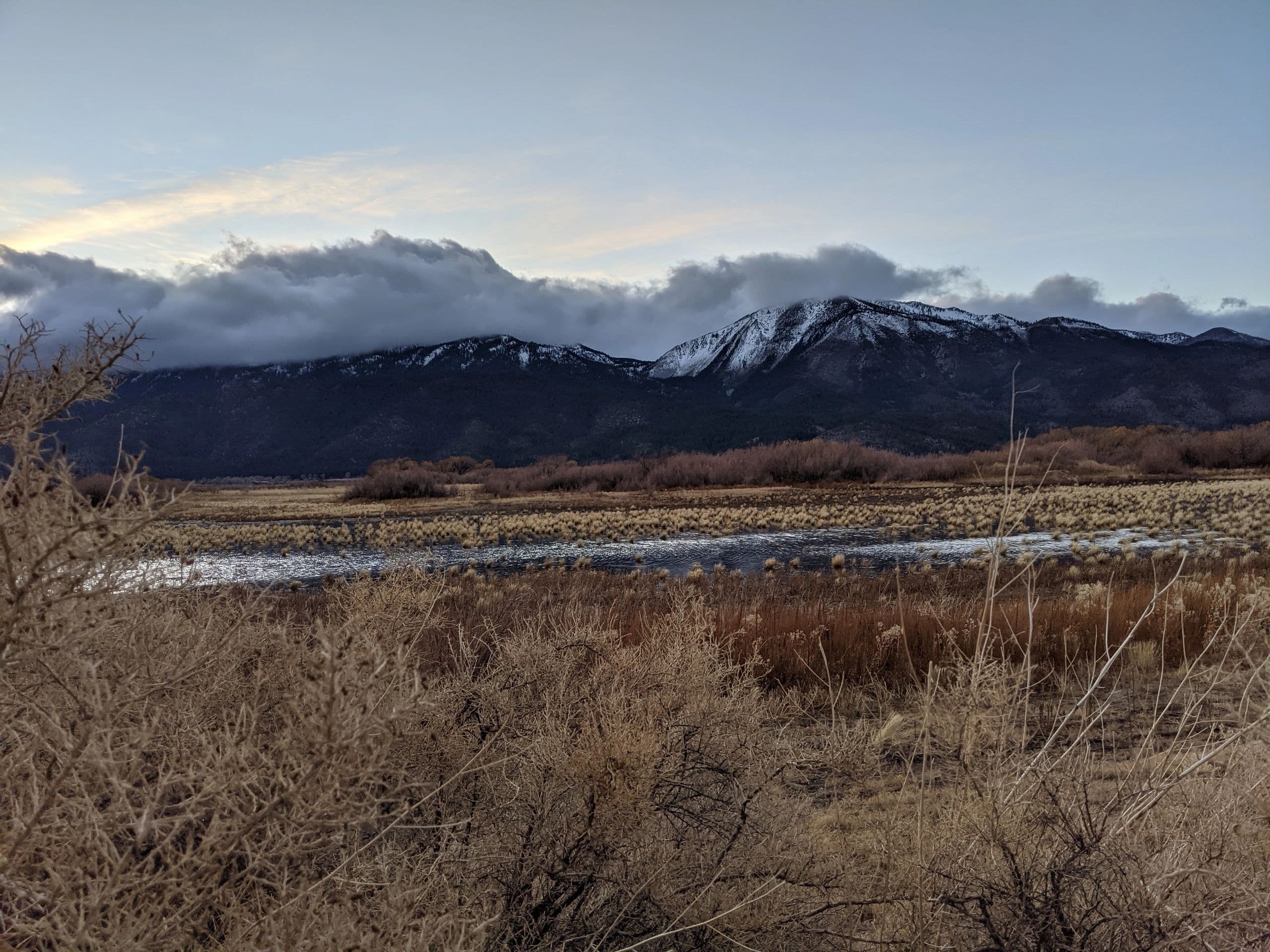 Mark's Bird Works Waterfowl and Upland Taxidermy logo