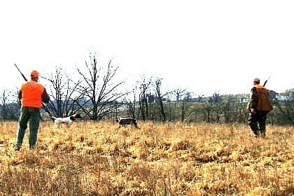 Quail Hollow Hunts logo