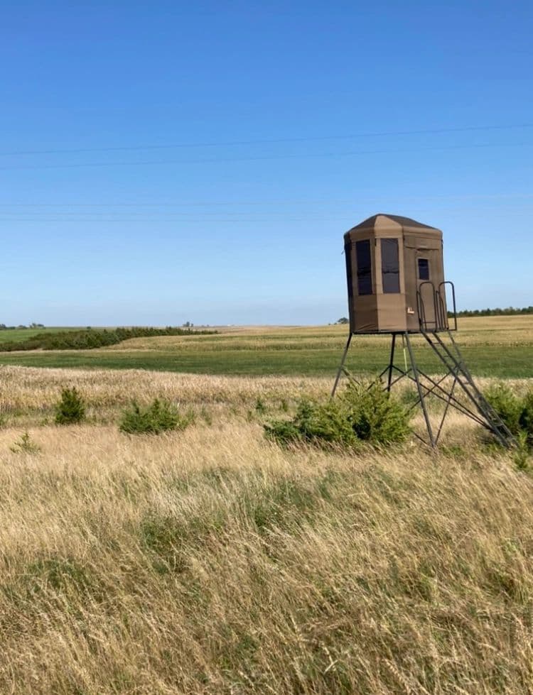 Two Tails Outfitters logo