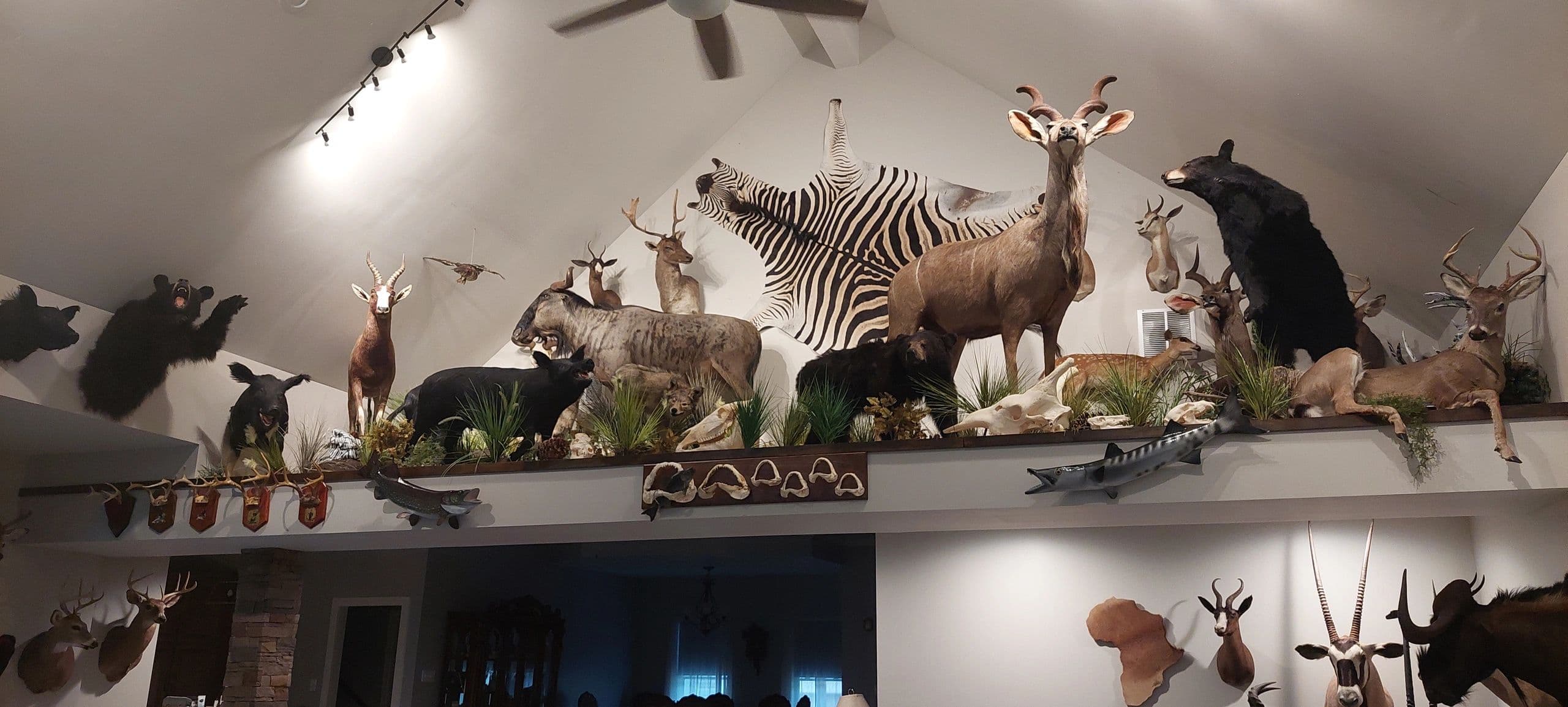 Javornick Taxidermy Services logo